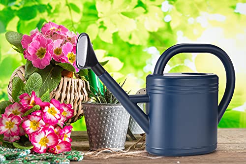 NERUB Watering Can 1 Gallon for Indoor Plants, Garden Watering Cans Outdoor Plant House Flower, Gallon Watering Can Large Long Spout with Sprinkler Head (Blue)