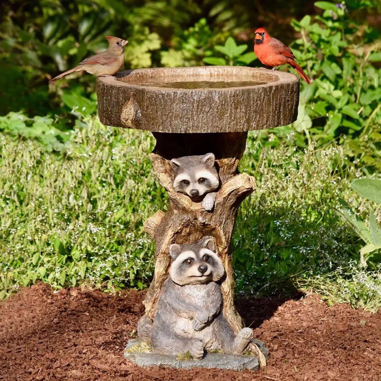 Cieken Resin Raccoon Birdbath Polyresin Antique Garden Bird Bath For Home Garden Yard