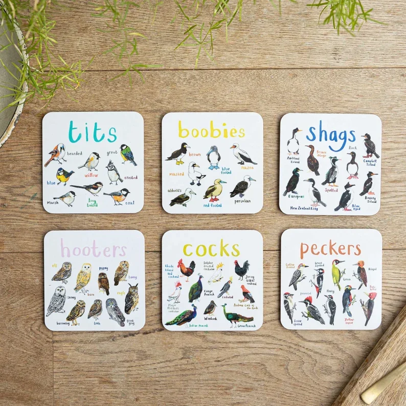 49% OFF🐦Set of 6 Bird Pun Coasters