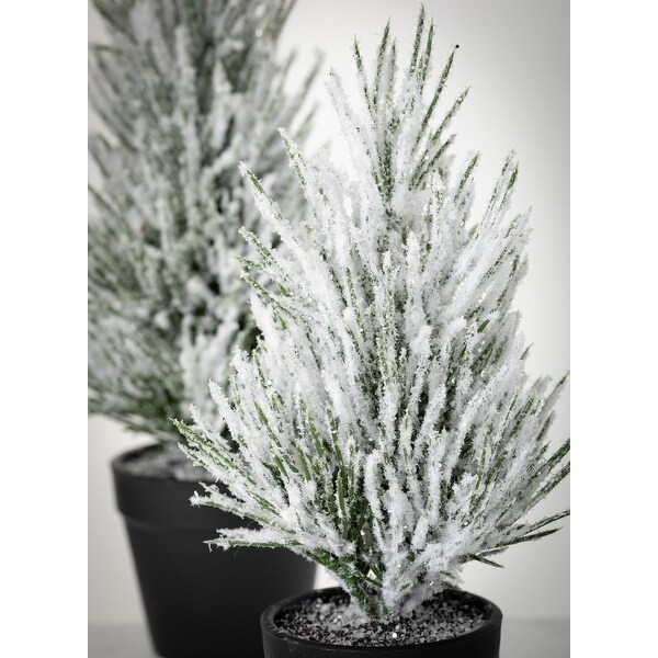 Sullivans Flocked Pine Artificial Tree Set of 2，11H and 9H Green