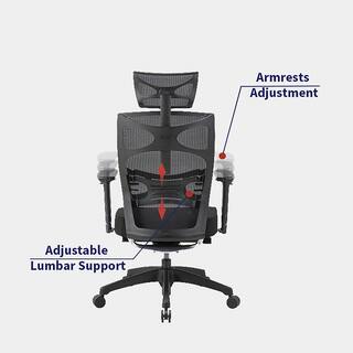 Furniture of America Caius Regular Black Breathable Mesh Ergonomic Office Chair with Adjustable Lumbar IDF-60393