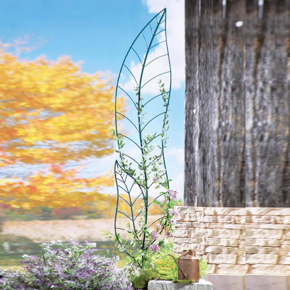 72 in. Decorative Metal Garden Trellis TG52DDW