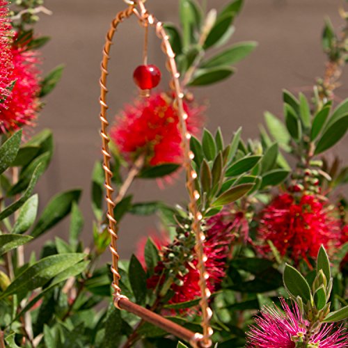 Copper Hummingbirds Swing - Perfect for Nectar Feeder， Hanger， and Stand