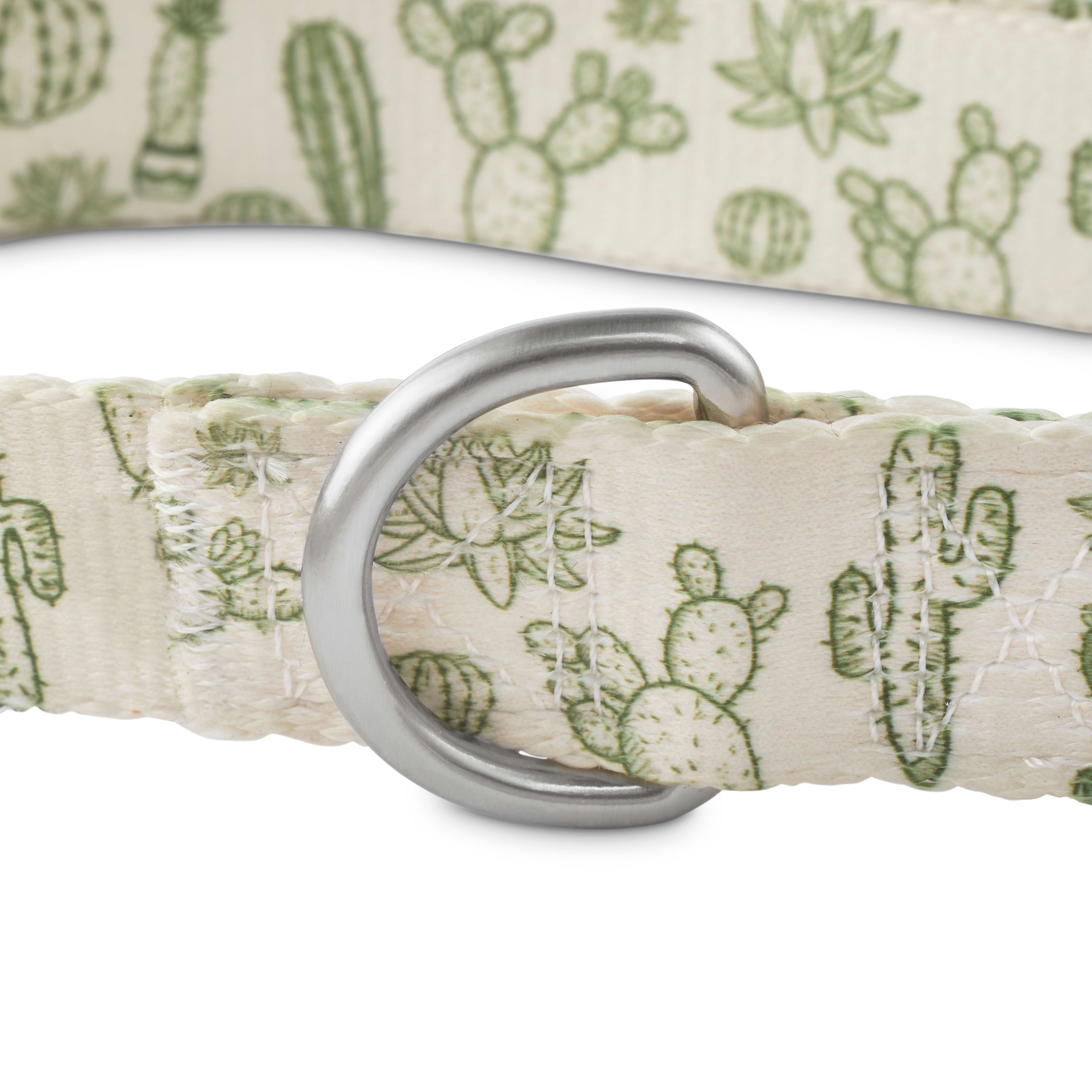 Good2Go Cactus-Print Dog Leash， 6 ft.