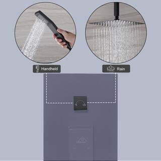 CASAINC 1-Spray Patterns with 10 in. Ceiling Mount Dual Shower Heads with Sliding Rod in Spot Resist Matte Black M6627-B-10-MB