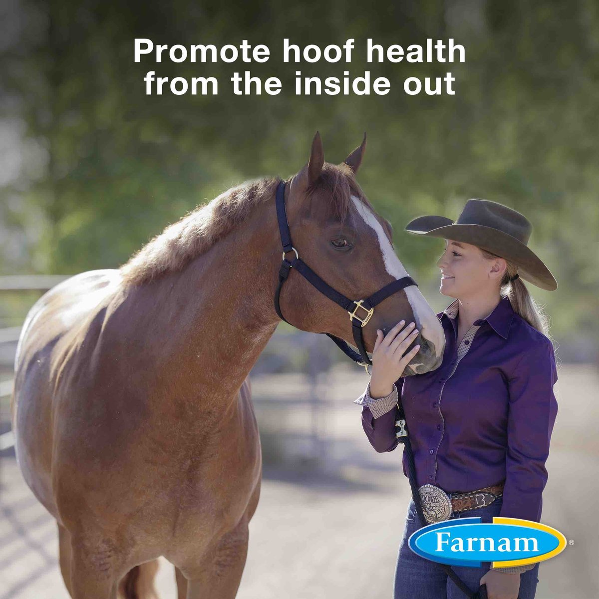 Farnam Horseshoer's Secret Hoof Health Hay Flavor Pellets Horse Supplement