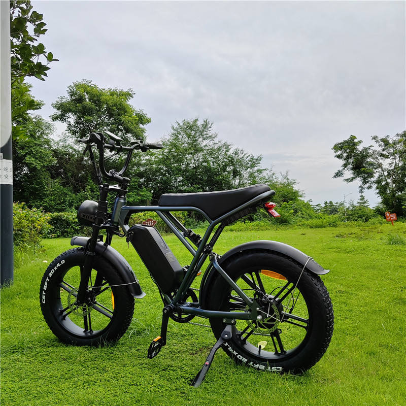 2023 Wholesale Popular 1000W 750W 60KM+ Sport Fat Tire Off Road E Road bike Electr MTB Electric Bicycles Bike