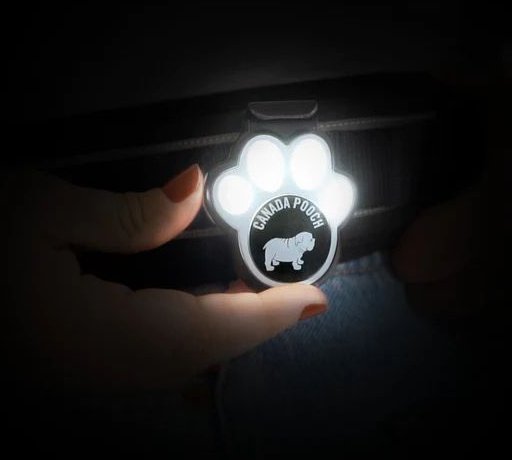 Canada Pooch Light Attachment Dog Tag Accessory， Black， Small