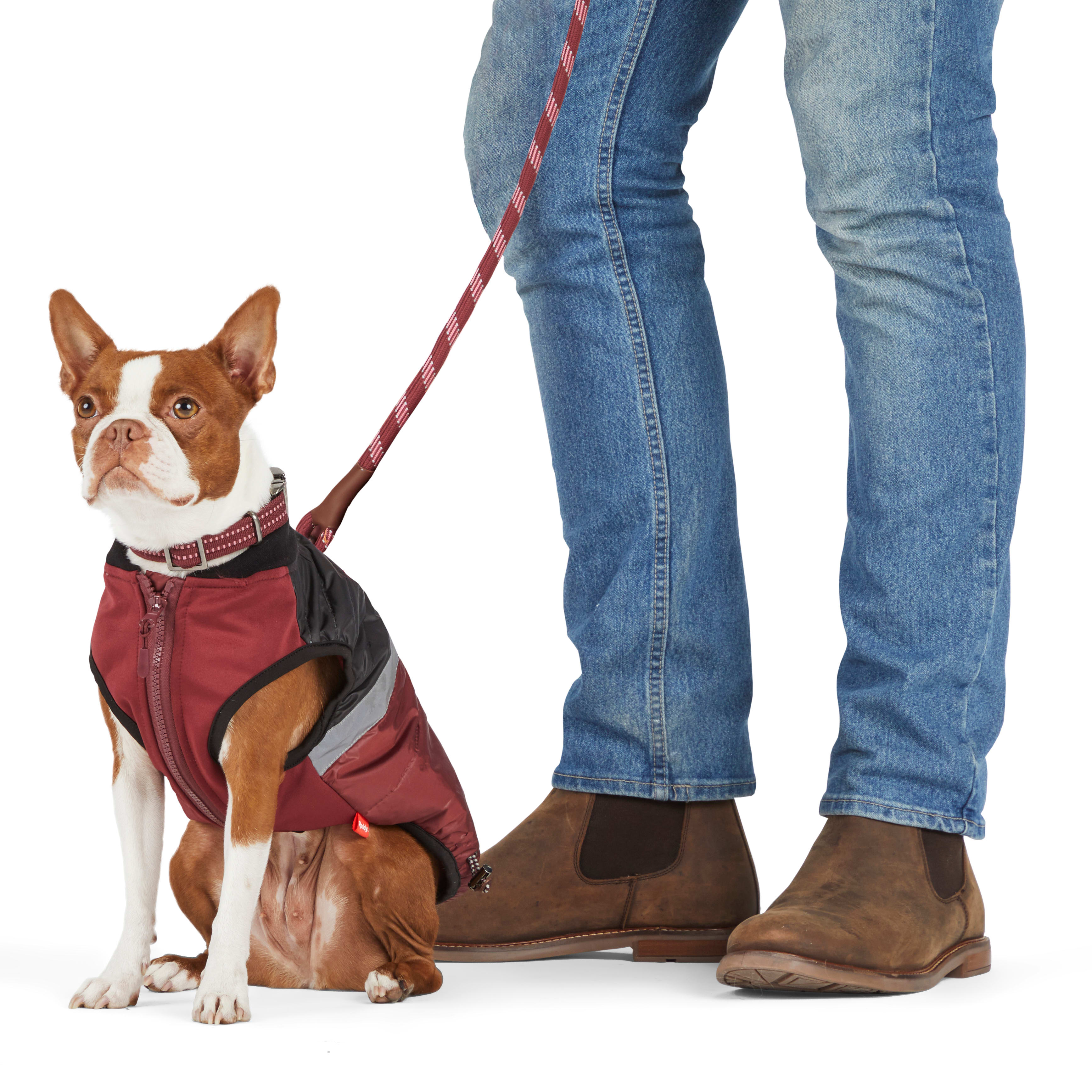 Reddy Burgundy Canvas Dog Harness， Medium