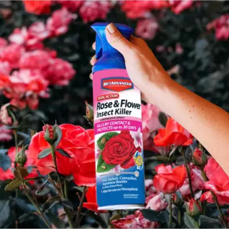 ROSE  FLOWER SPRAY 15OZ