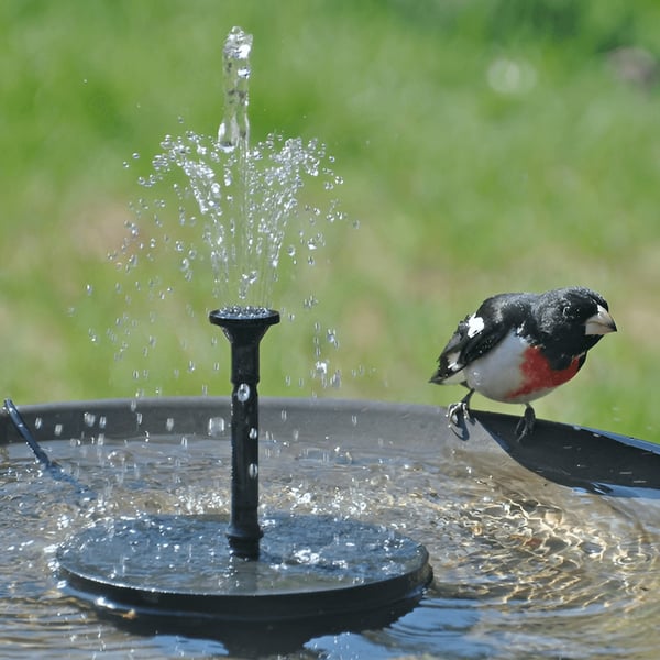 LAST DAY 60% OFFSolar-Powered Bird Fountain Kit