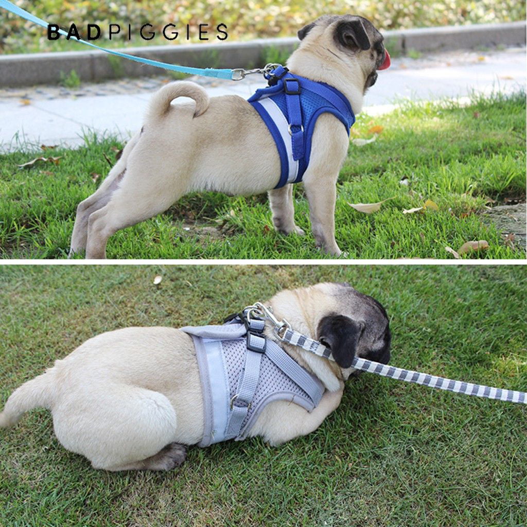 BadPiggies No Pull Dog Harnesses No Choke Reflective Pet Harness Adjustable Walking Breathable Mesh Dog Vest for Small Dogs Cats