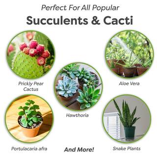 Perfect Plants 8 Qt. Organic Succulent Soil - Premium Fast Draining Blend HDSoil014