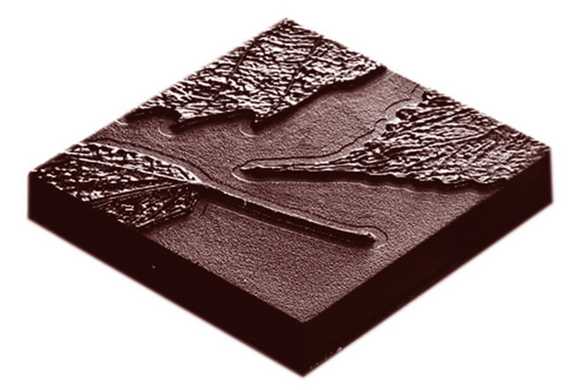 Chocolate World CW1669 Chocolate mould cocoa leaf ...