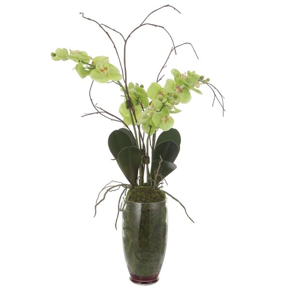 Tropical Orchid Artificial Floral Arrangements Glass Vase 38 Green