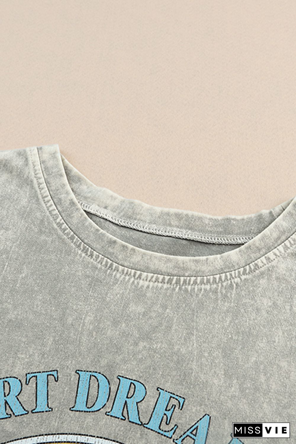 Gray Desert Dreamer Mineral Wash Graphic Tee