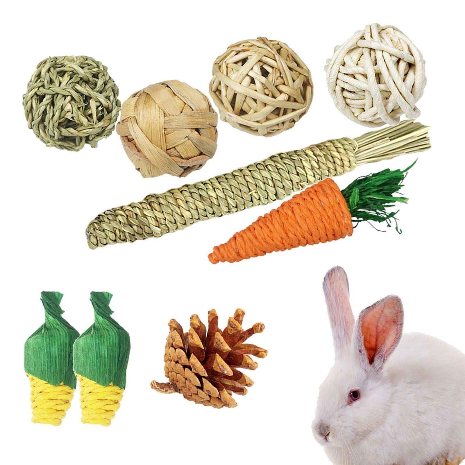 9PCS Guinea Toys， Hamster Chew Toys Rats Chinchillas Toys Accessories Safe Material Exercise Care Molar Toy for Bunny Rabbits Gerbils