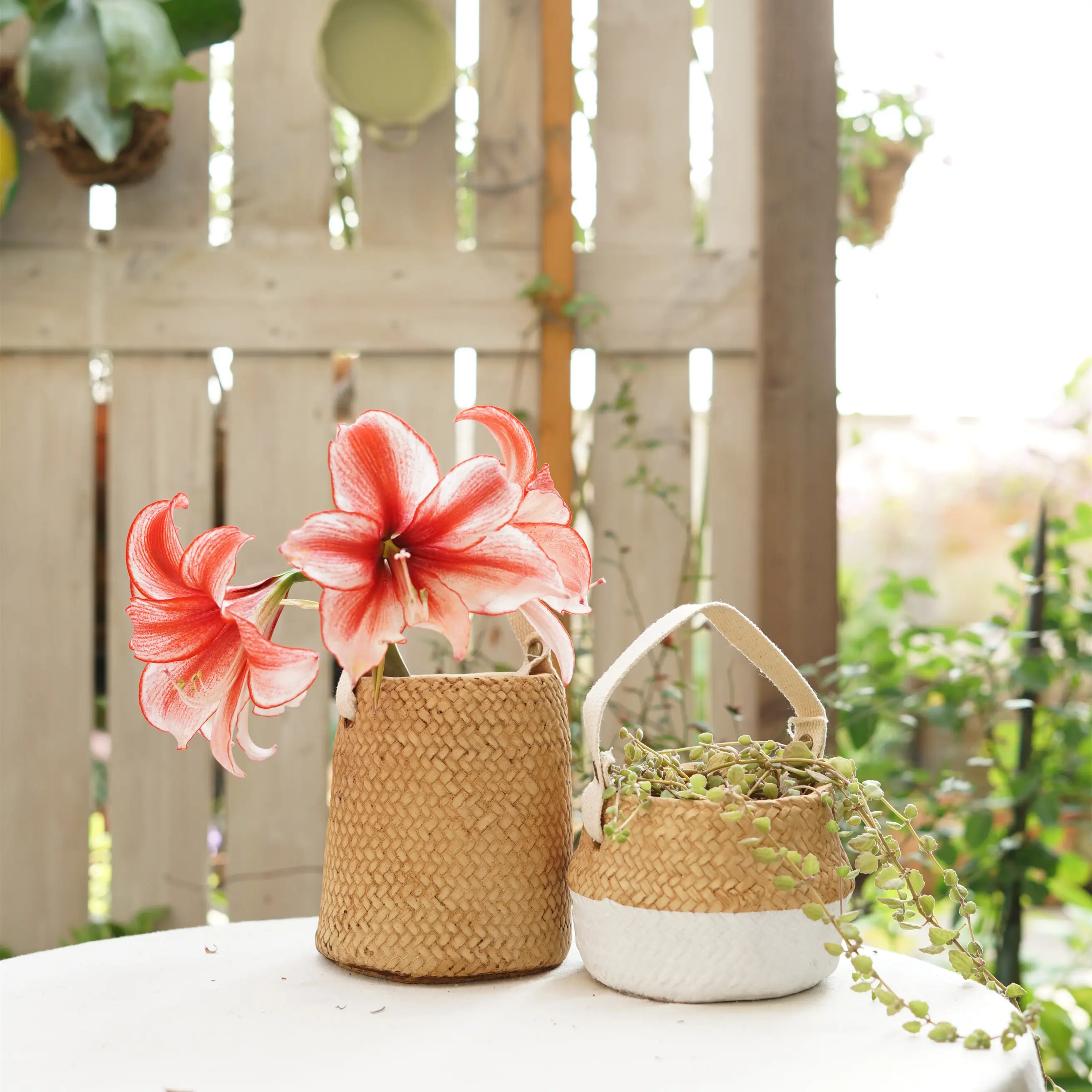 Wholesale Weaving Design Cement Hanging Pots Flower Vases for Home Garden Decor Plant Round Shape Modern Used with Flower/green