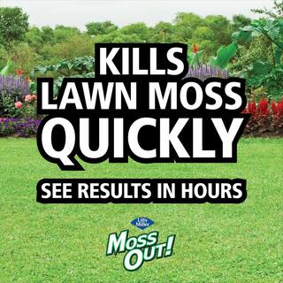 Moss Out! 5 lbs. Moss Out! Ready-to-Use Moss Killer Lawn Granules 100543551