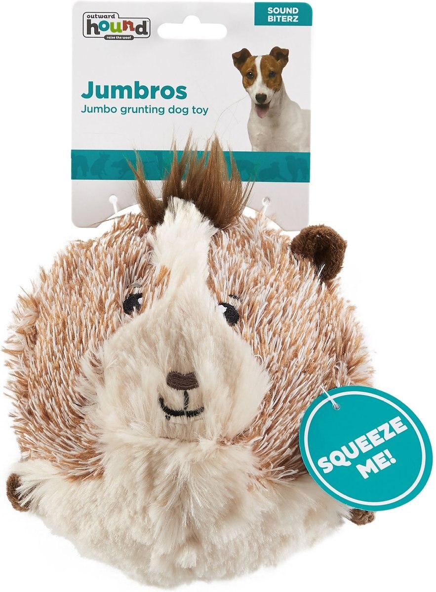 Outward Hound Jumbros Guinea Pig Grunting Ball Dog Toy， Brown， Medium