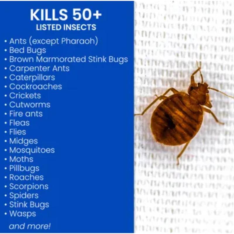 INSECT KILLER SPRAY 15OZ