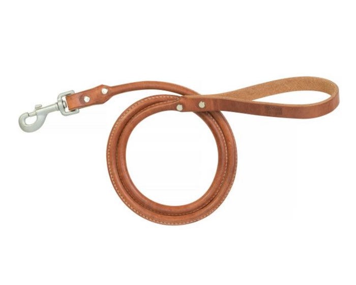 Terrain D.O.G.® Rolled Leather Dog Leash， Russet，  3/4