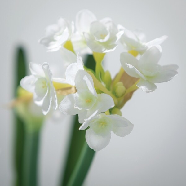 Sullivans Artificial Paperwhite With Bulb Stem 20H White