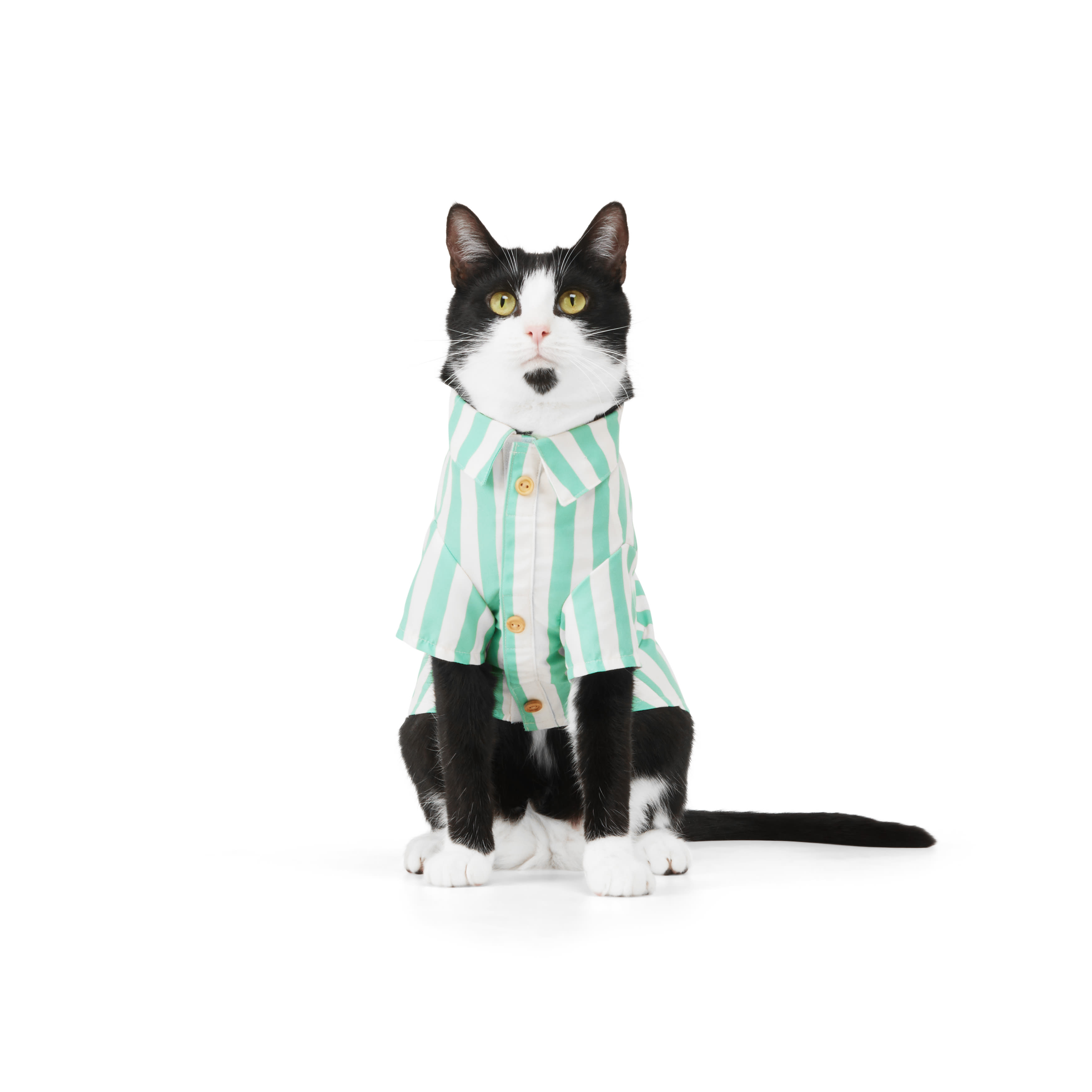 YOULY Green Stripe Shirt for Cats， Small/Medium