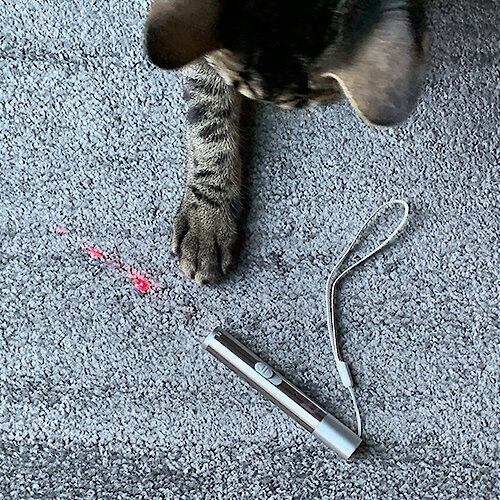 Litterbox.com Rechargeable Laser Pointer Cat Toy