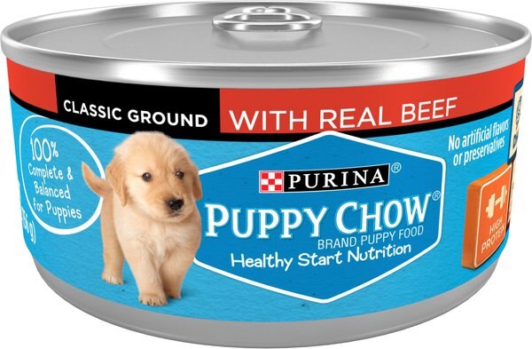 Puppy Chow Classic Ground Beef Pate Wet Puppy Food， 5.5-oz can， case of 24