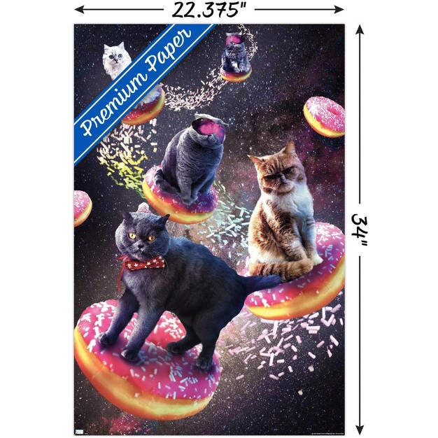 Trends International James Booker Galaxy Space Cats Riding Donuts Unframed Wall Poster Prints