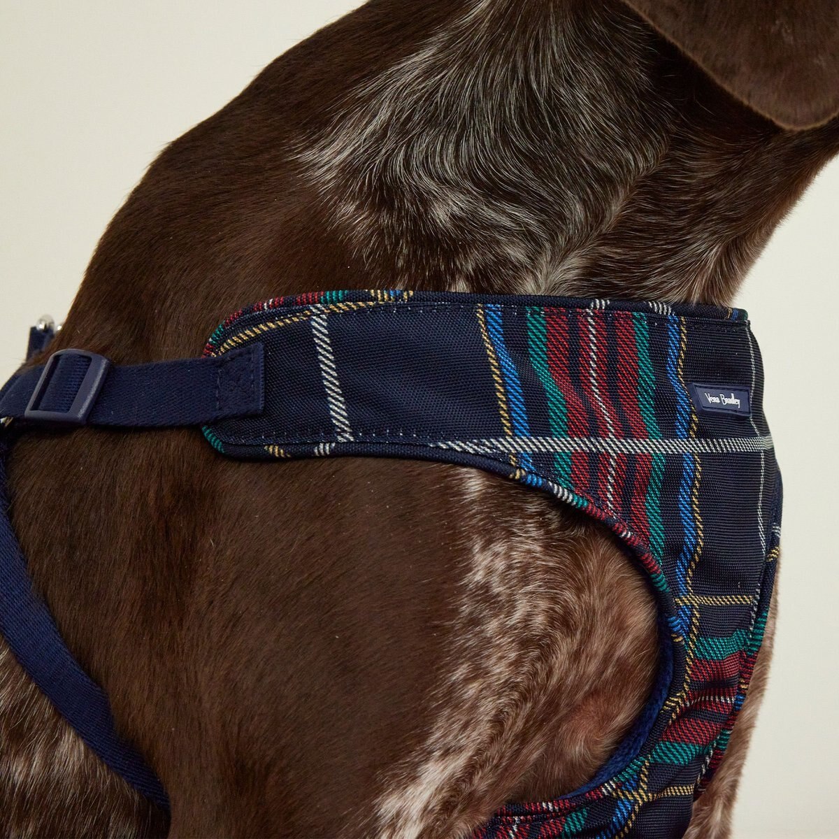 Vera Bradley Cat and Dog Harness， Tartan Plaid