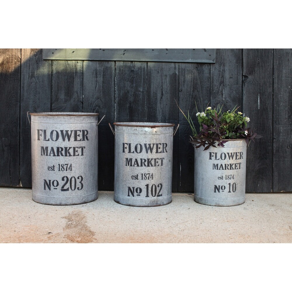 Decorative Metal Buckets with Handles and \