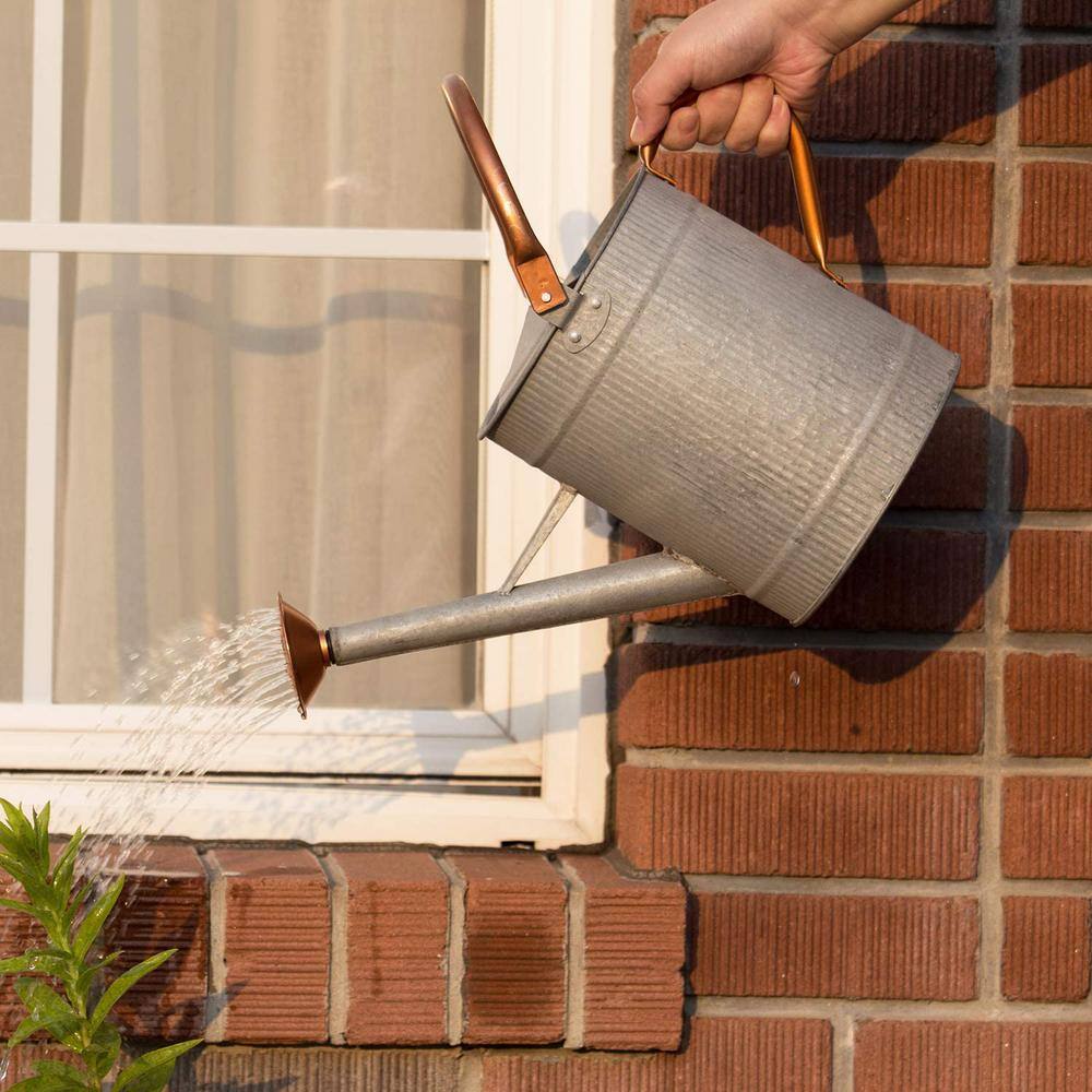 Cubilan 1 Gal. Watering Can Decorative Farmhouse Watering Can Metal Watering Can with Removable Spout B083F9N5M7