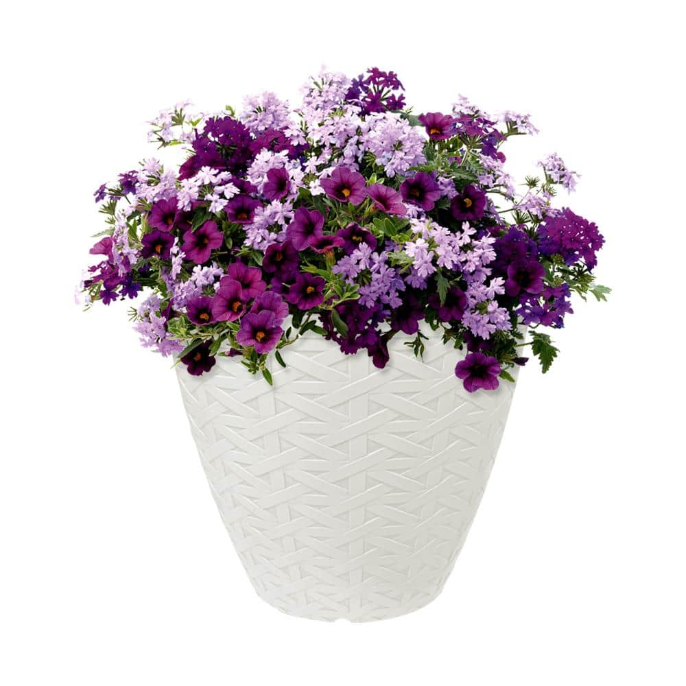 PRIVATE BRAND UNBRANDED 13 in. Dia White Ash Resin Woven Texture Planter HD1438B-030R