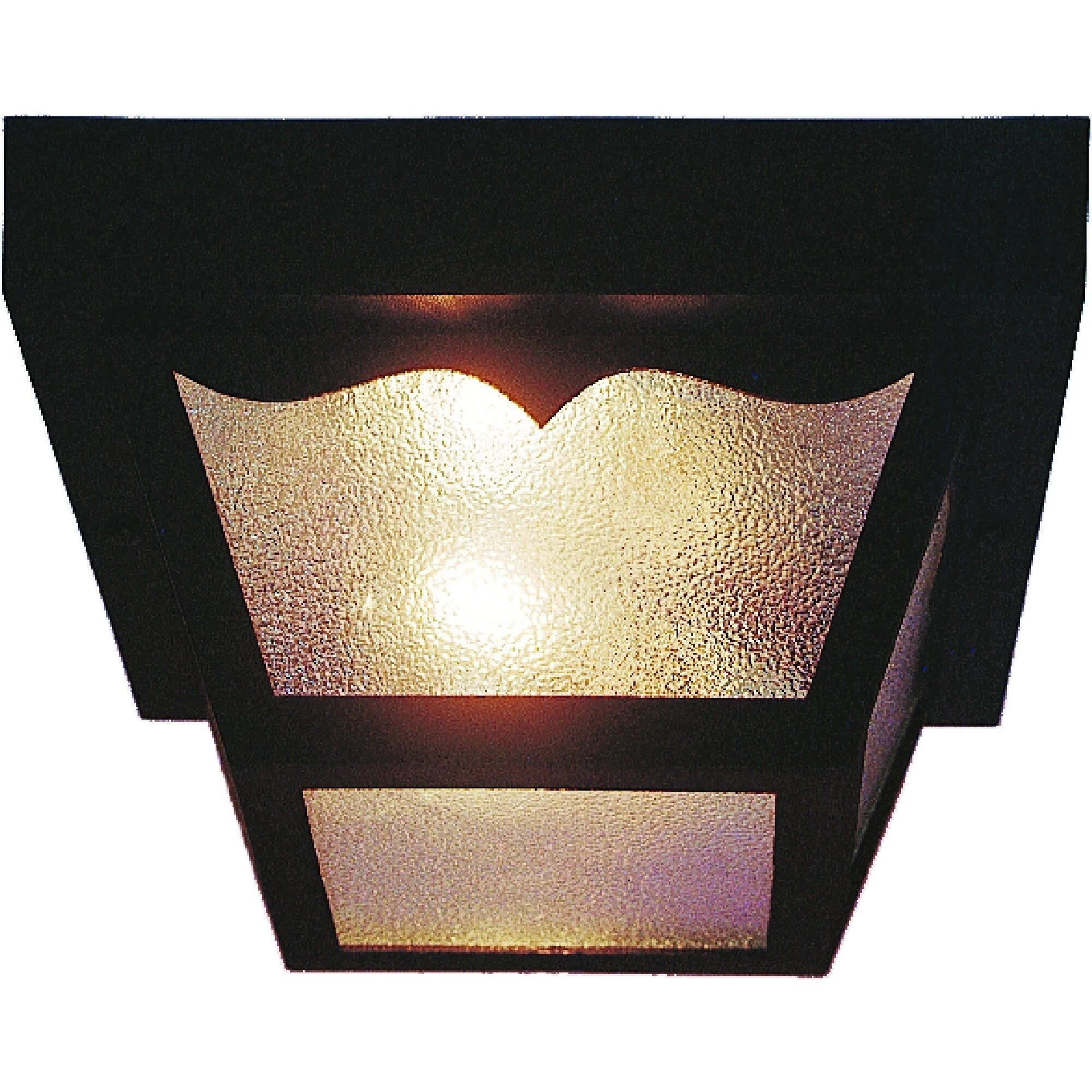 Volume Lighting 2-Light Black Outdoor Flush Mount