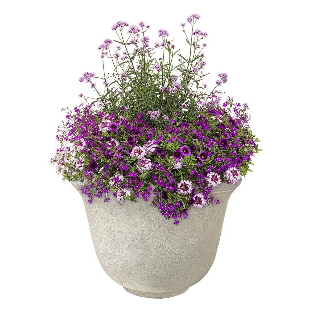 PRIVATE BRAND UNBRANDED 14 in. Dia Ivory Resin Springfield Textured Planter HD1439B-697R