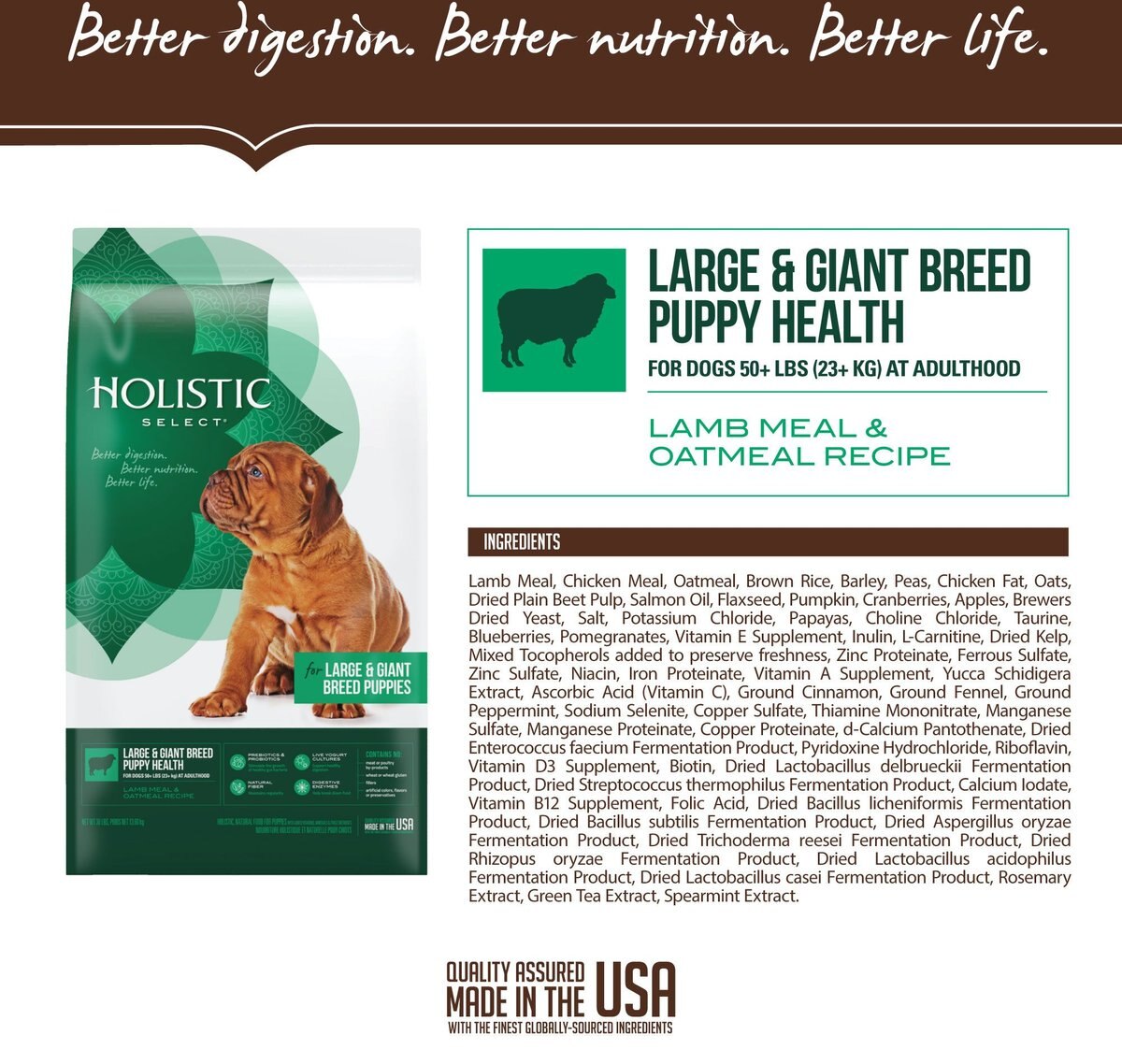 Holistic Select Large and Giant Breed Puppy Health Lamb Meal and Oatmeal Recipe Dry Dog Food