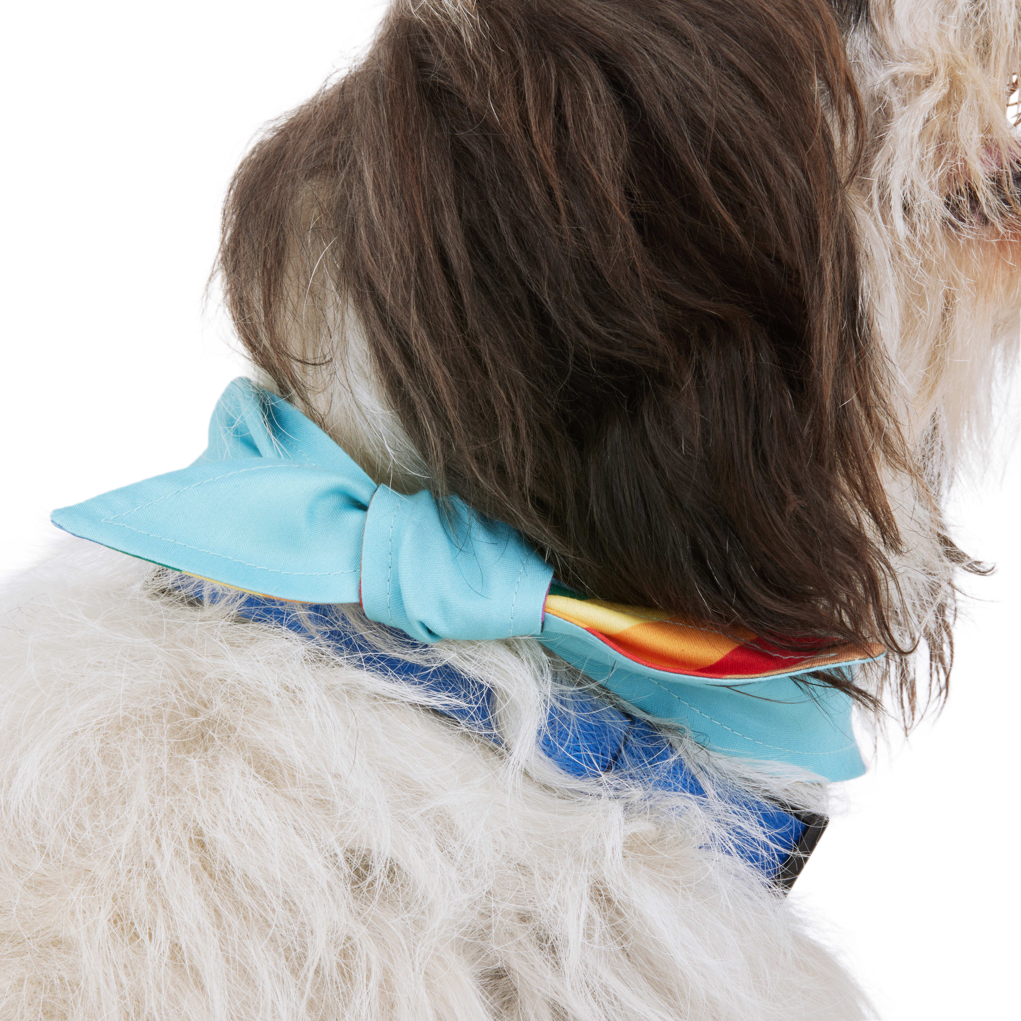 YOULY Pride Flag Reversible Bandana for Dogs， X-Small/Small