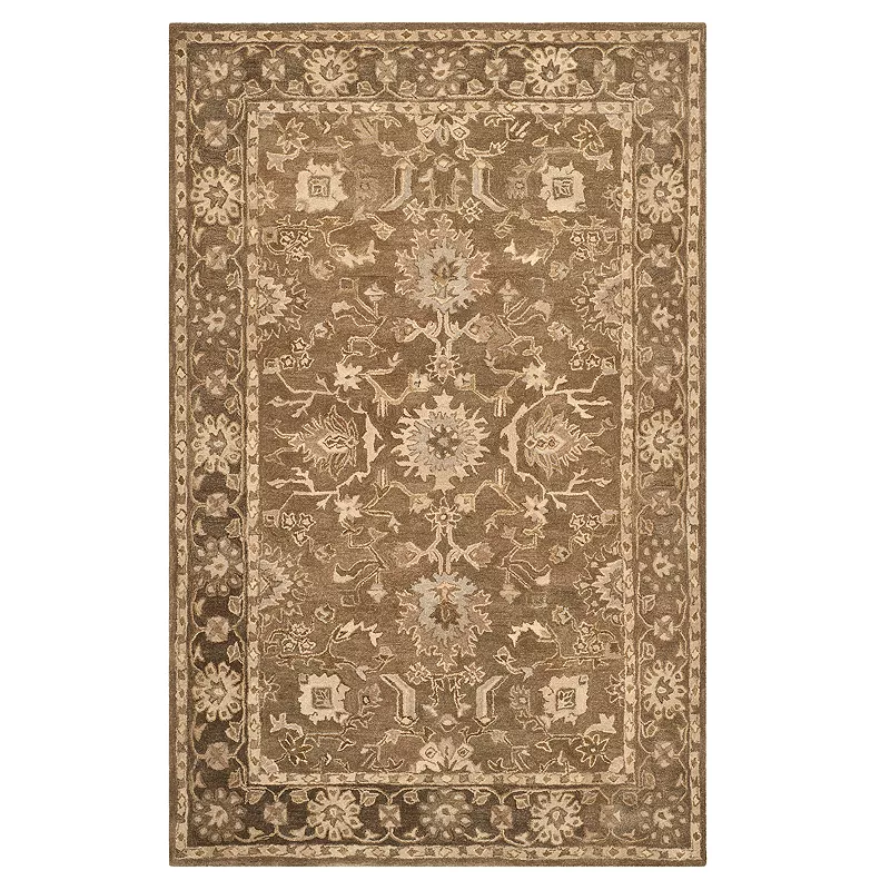 Safavieh Anatolia Zelda Framed Floral Wool Rug