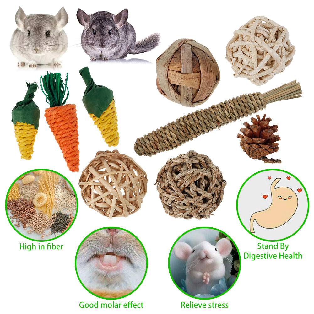 MLfire 9pcs Hamster Chew Toys Pet Teeth Care Molar Toy for Hamster Rat Rabbit Chinchilla Squirrel Small Animals