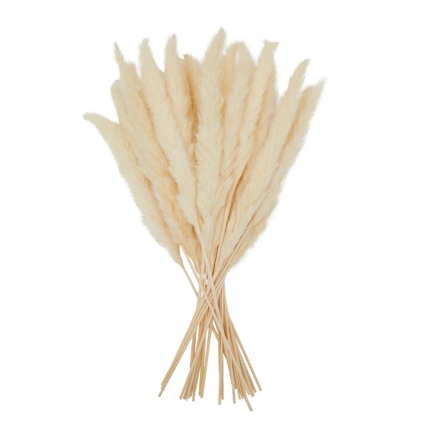 Juvale 30 Pack Dried White Pampas Grass For Vase Wedding Rustic style Farmhouse Decor Boho themed Home Decor 17 In