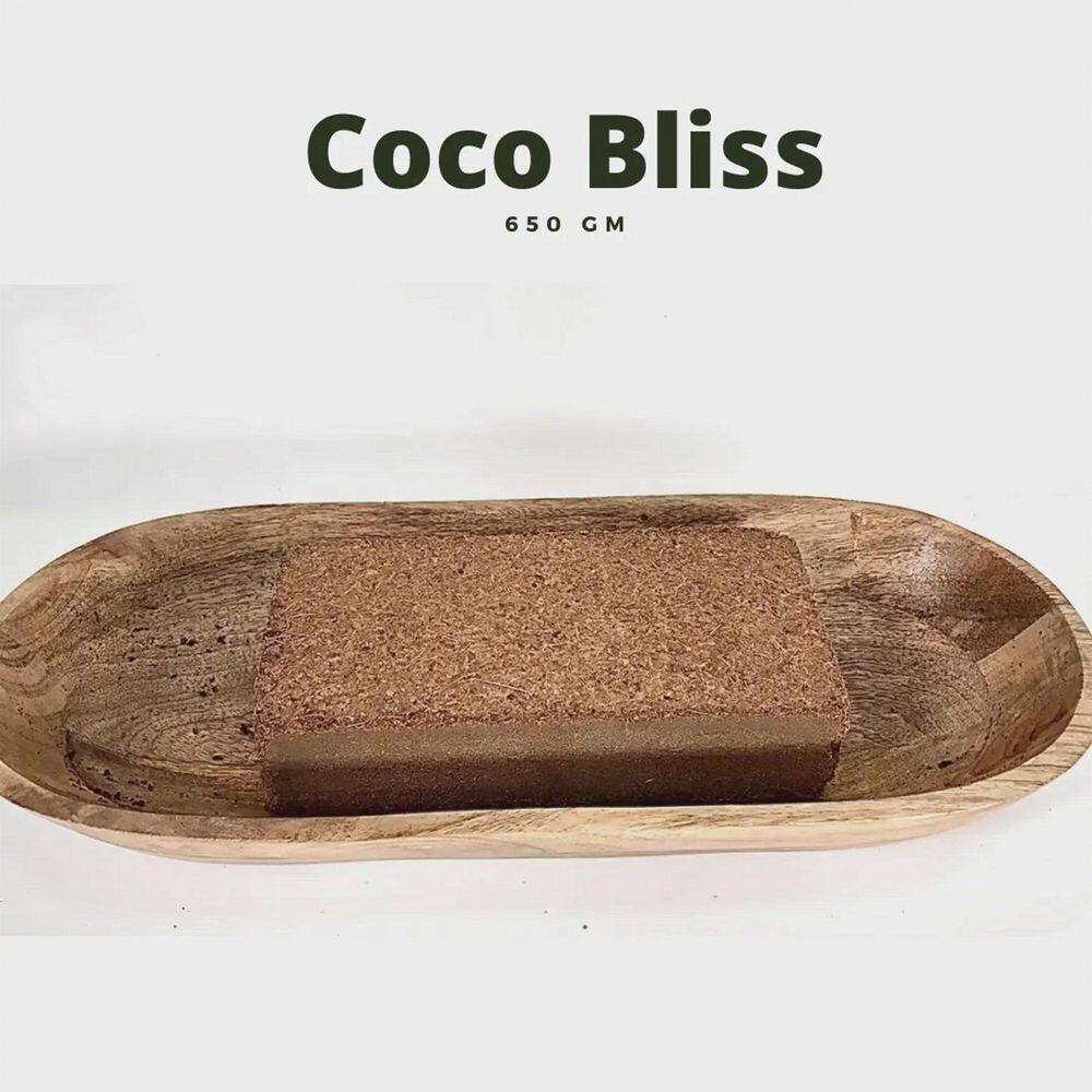 Plantonix Coco Bliss Premium Organic Coconut Coir Pith 650GM Bricks (20-Pack) B06ZZNY82S