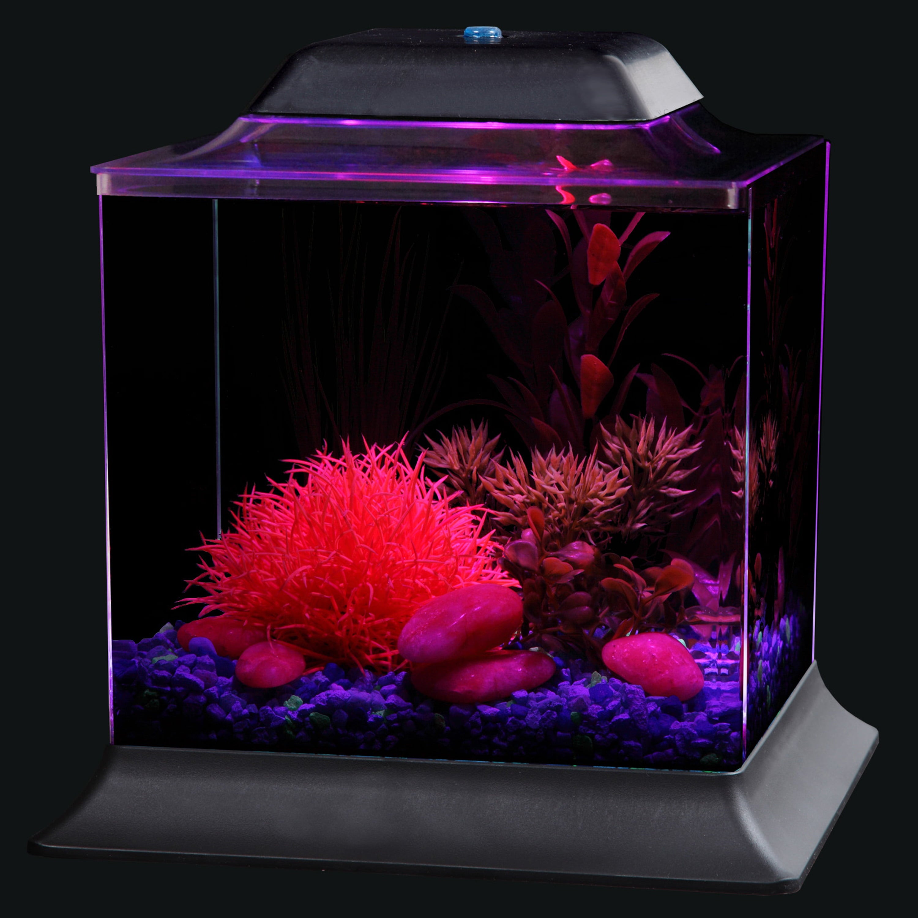 KollerCraft 1.5-Gallon Betta Fish Aquarium Kit