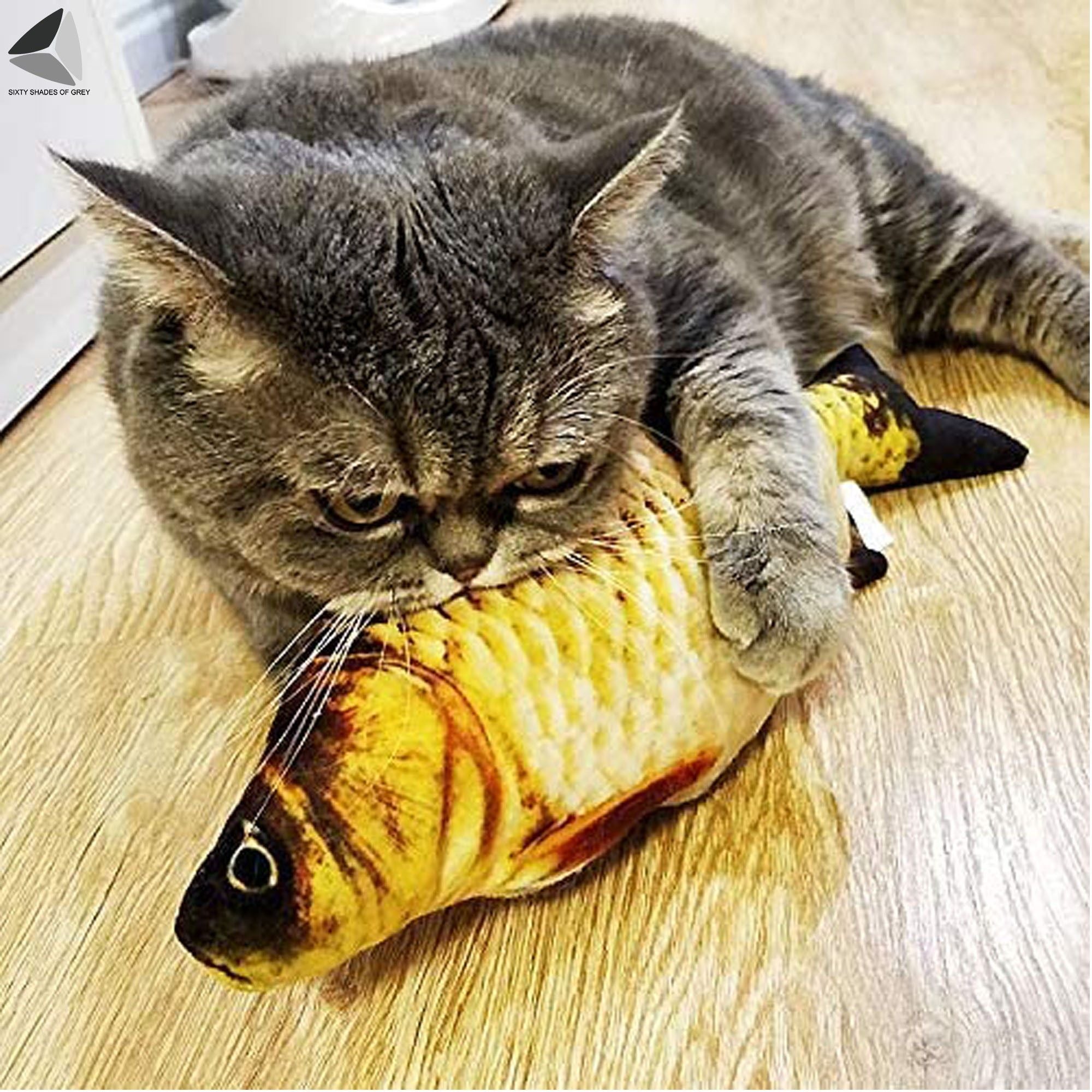 Sixtyshades Catnip Fish Plush 3D Fish Pillow Toys for Cat Kitten Chewing (Mackerel)