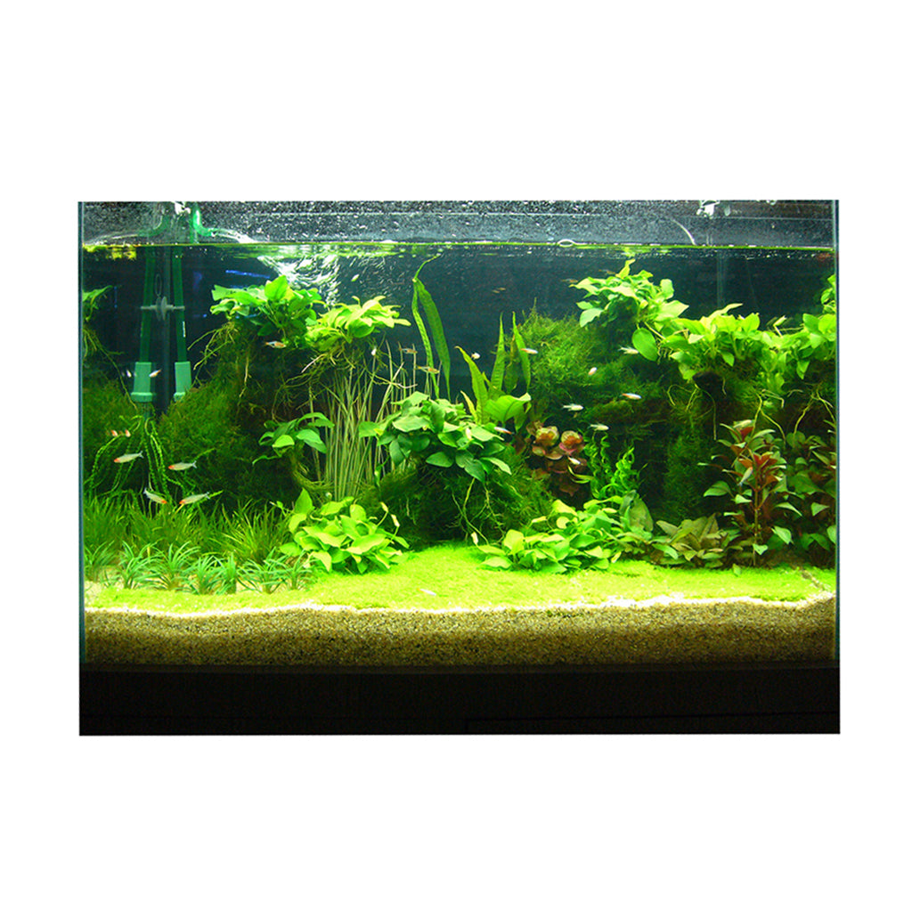 Attractive 3D Plants Image Aquarium Background Poster/Fish Tank Landscape - 61x30cm