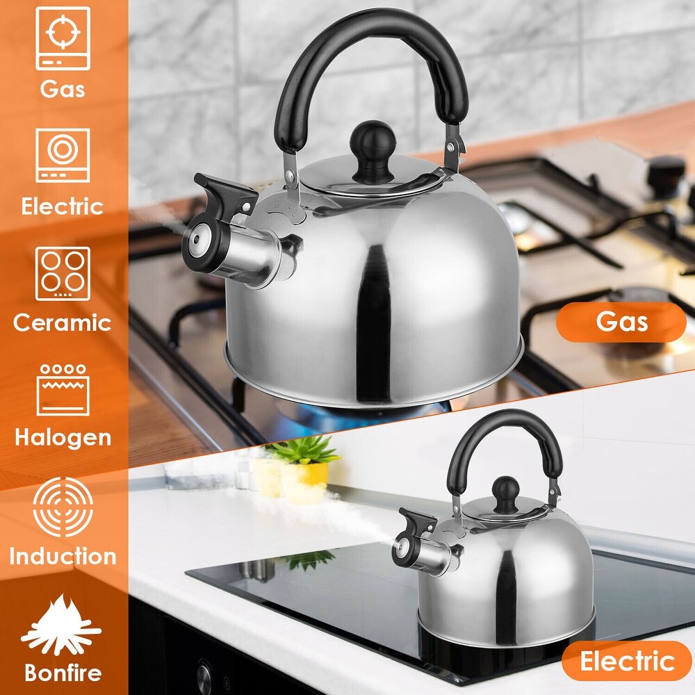 2L Stainless Steel Tea Kettle for Stovetop  Induction  Gas