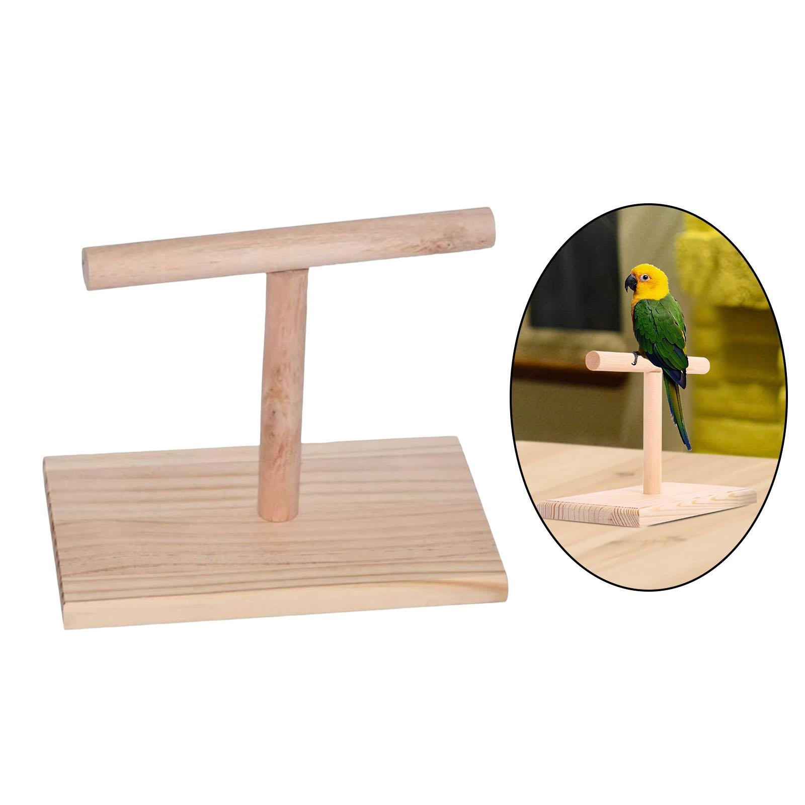 Bird Perch Finch Desktop Parrot Training Perches Branch