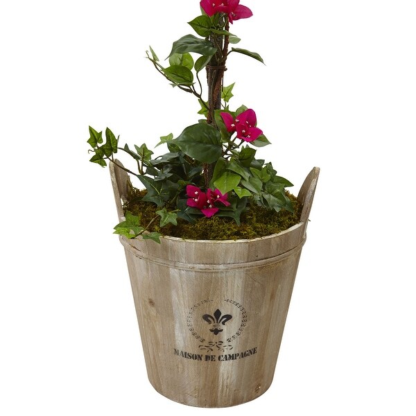 5.5' Bougainvillea Tree with European Barrel Planter