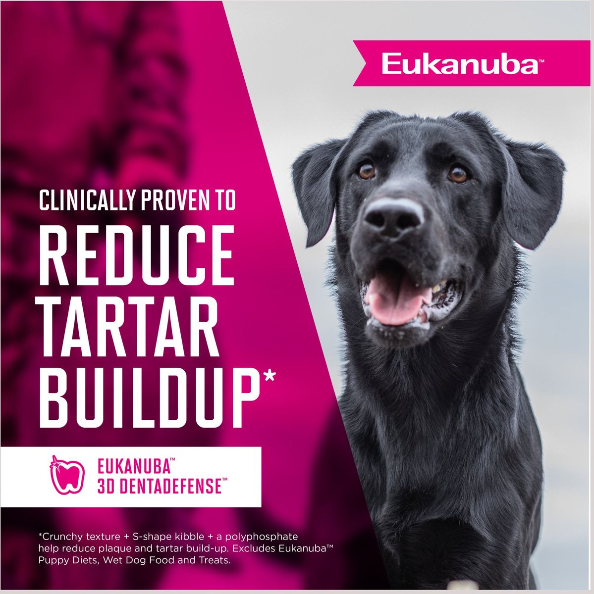 Eukanuba Adult Large Breed Dry Dog Food